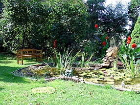 Garten mit Teich